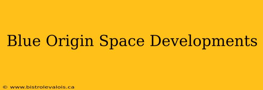 Blue Origin Space Developments