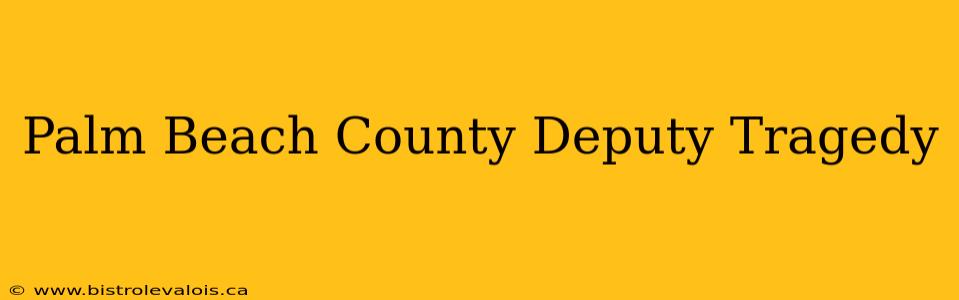Palm Beach County Deputy Tragedy