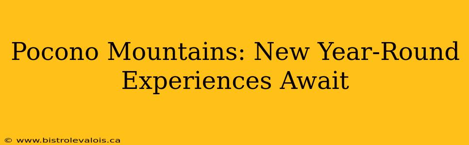 Pocono Mountains: New Year-Round Experiences Await